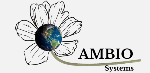 Ambio Systems